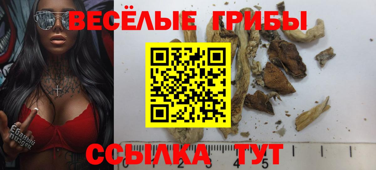 Курчатов  Галлюциногенные грибы MAGIC MUSHROOMS  Вход с VPN 