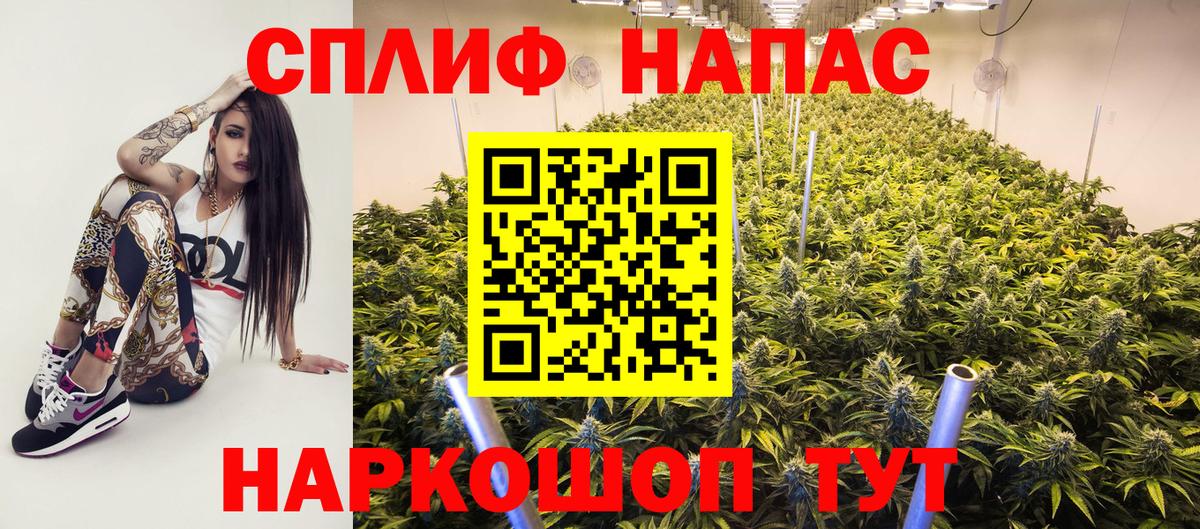 Курчатов  Шишки марихуана план  Вход с VPN  Марихуана OG Kush  Конопля Bruce Banner  Конопля Ganja 