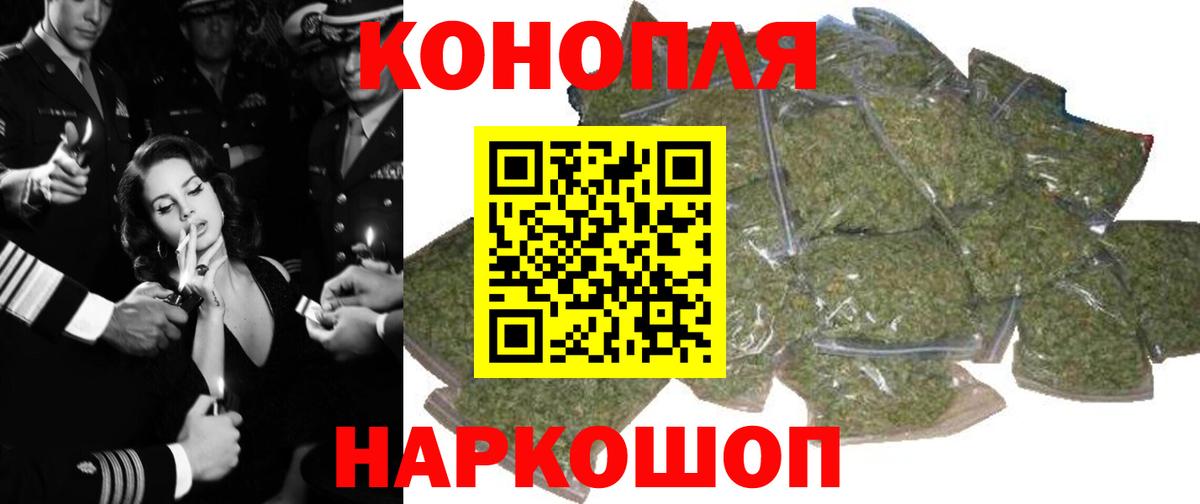 Бошки марихуана гибрид Курчатов